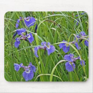 Min Vild Iris Musmatta