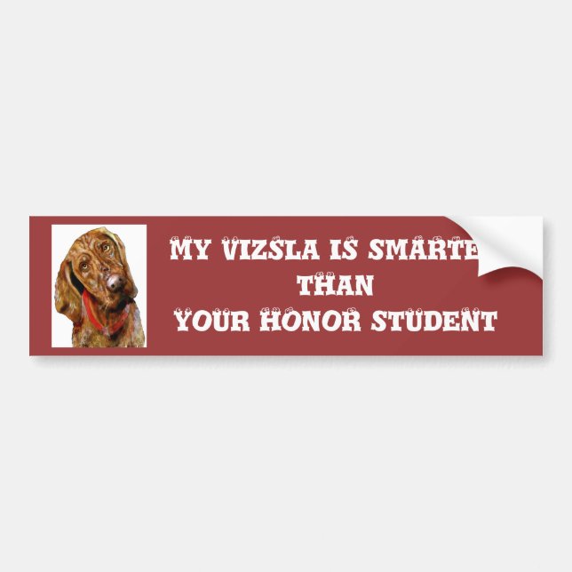 Min Vizsla är mer smart bildekal (Framsidan)