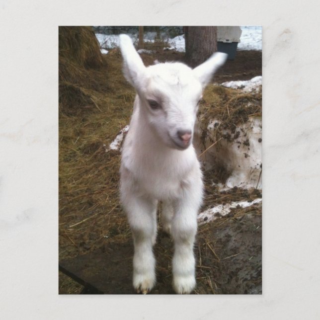 Min. vykort för dosering (Framsida)