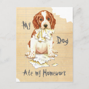 Min Welsh Springer Ate Mina hemläxor Vykort