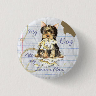 Min Yorkie åt min kurs planerar Knapp