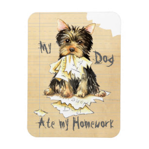 Min Yorkie Ate min hemläxa Magnet