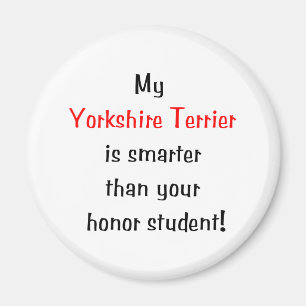 Min Yorkshire Terrier är smartare... Magnet