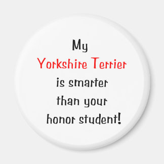 Min Yorkshire Terrier är smartare... Magnet