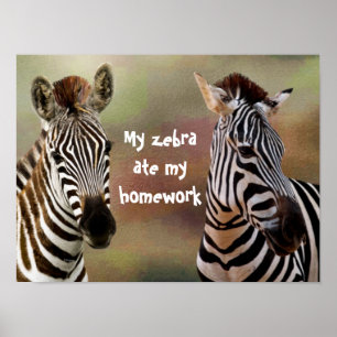 Min Zebra Ate Mina hemläxor, Poster