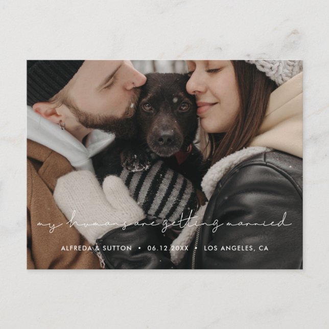 Mina ägare gifter sig Hund foto Meddelande Vykort (Framsida)