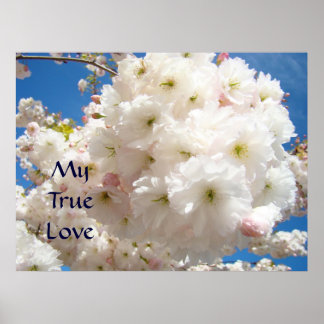Mina Äkta kärlek utskrifter Rosa White Flower Blom Poster