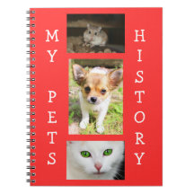 Mina favorithistorikposter Bok