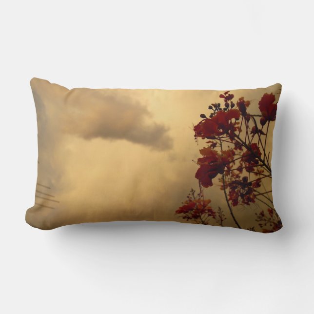 Mina Garden Clouds American MoJo Pillows Lumbarkudde (Framsida)