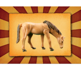 Mina hästar t shirt