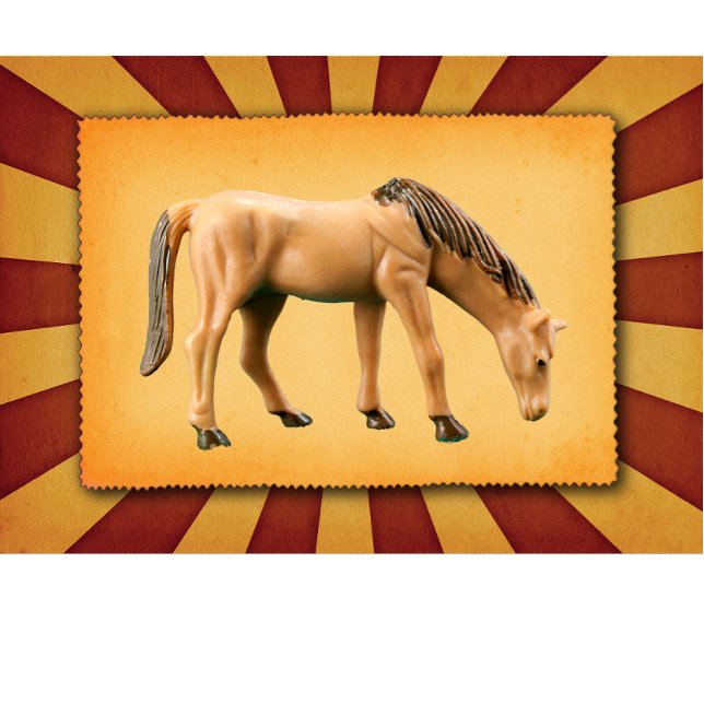 Mina hästar t shirt (Skapare uppladdad)