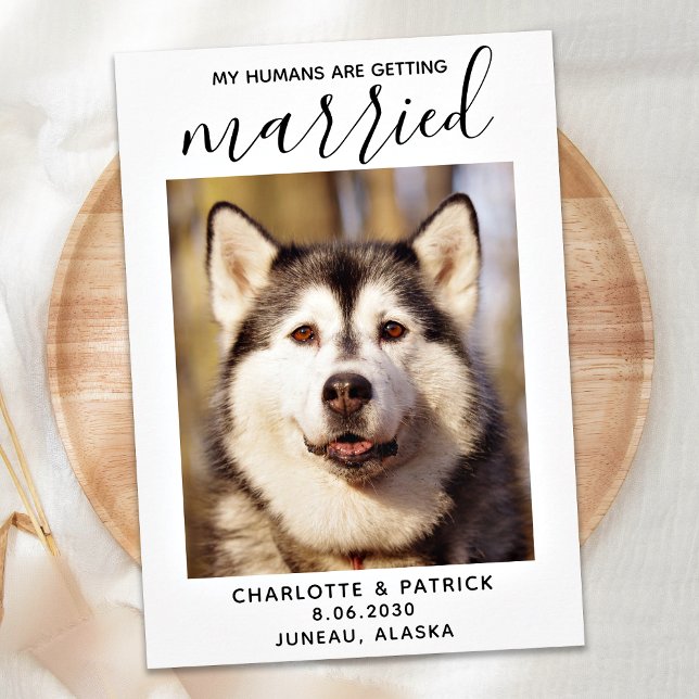 Mina människor är Gifta sig - Elegant Hund Bröllop Spara Datumet (Skapare uppladdad)