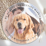 Mina människor är Gifta sig Förlovning Hund Photo Underlägg<br><div class="desc">Fira din förlovning och ge unika bröllop spara datum med anpassningsbarna foto, och personligen "Mina människor är Gifta sig" hund bröllop spara datum. Anpassa med dina favoritfoton, namn och datum. Den här anpassningsbarna som du underlägg med fotot bröllop är perfekt för förlovningsfester och ett alternativ till att spara datumkorten i...</div>
