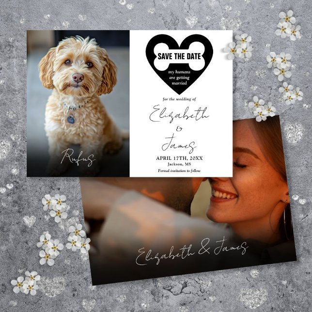 Mina människor är Gifta sig Hund 2 Foton Bröllop Spara Datumet (My Humans Are Getting Married Dog 2 Photos Wedding Save The Date)