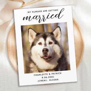 Mina människor är Gifta sig Hund Spara datum Meddelande Vykort