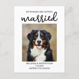 Mina människor är Gifta sig | Hund Spara datum Vykort