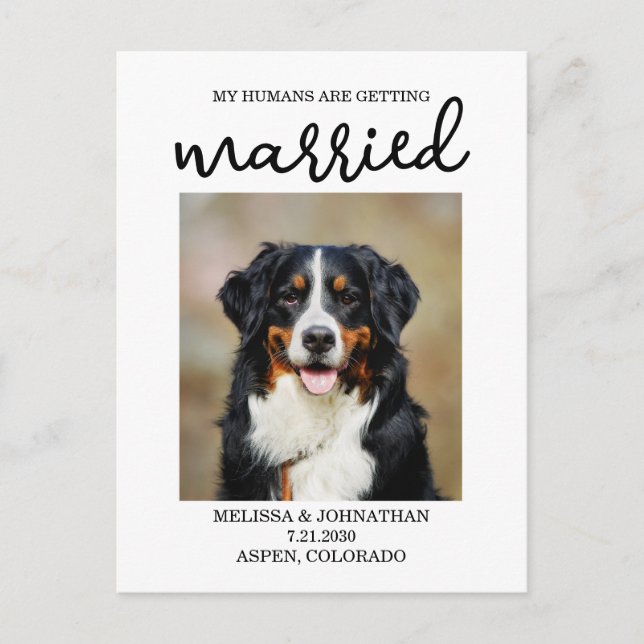 Mina människor är Gifta sig | Hund Spara datum Vykort (Framsida)
