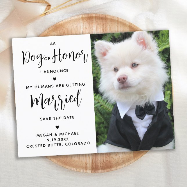 Mina människor är Gifta sig - modern Hund Bröllop Meddelande Vykort (Skapare uppladdad)