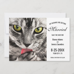 Mina människor Gifta sig Cat Photo Bröllop Spara Datumet
