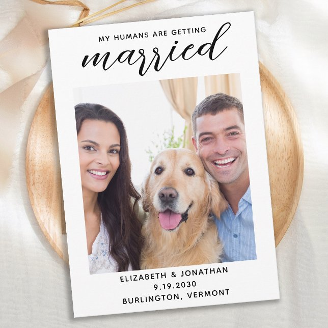 Mina människor Gifta sig Hund Bröllop Spara Datumet (Skapare uppladdad)