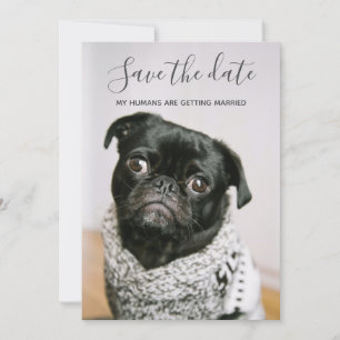 Mina människor Gifta sig Hund Foto Spara datum Inbjudningar