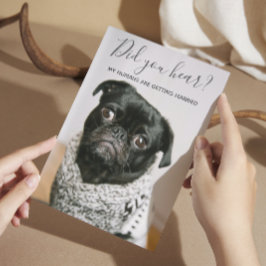 Mina människor Gifta sig Hund Photo Avslappnad Brö Inbjudningar