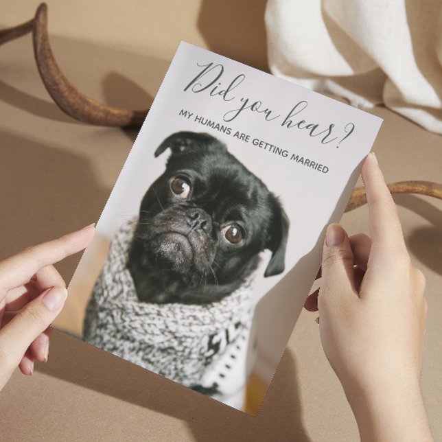 Mina människor Gifta sig Hund Photo Avslappnad Brö Inbjudningar (Skapare uppladdad)