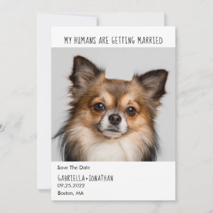 Mina människor Gifta sig Hund Photo Bröllop Spara Datumet