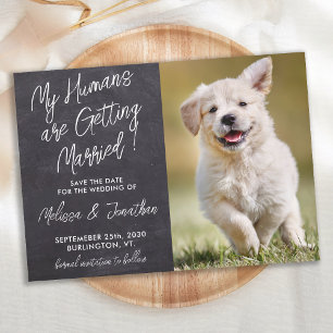 Mina människor Gifta sig Rustic Pet Photo Hund Spara Datumet