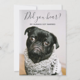Mina människor gifte sig hund foto bröllop elopeme inbjudningar