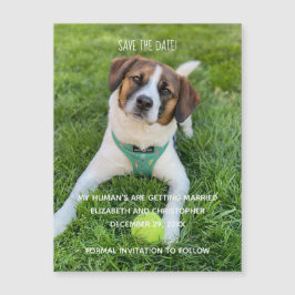 Mina människor gifter sig Foto Spara datumet