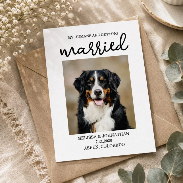 Mina människor gifter sig | Hund Spara datum  Vykort (My Humans Are Getting Married | Dog Save the Date Postcard)