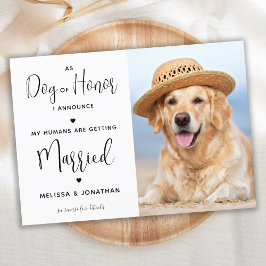 Mina människor gifter sig Husdjur Hund Foto Inbjudningar