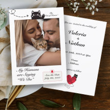 Mina människor säger att vi gör Cat Photo