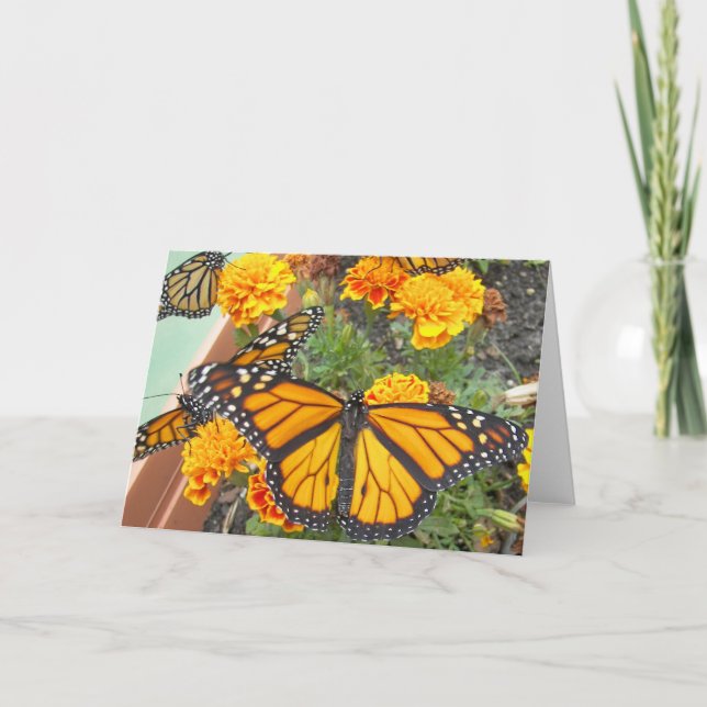 Mina Monarch Butterflies-hälsningskort Kort (Framsida)