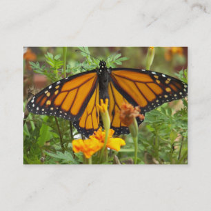 Mina Monarch Butterfly-affärskort Visitkort