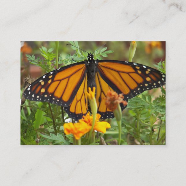 Mina Monarch Butterfly-affärskort Visitkort (Framsida)