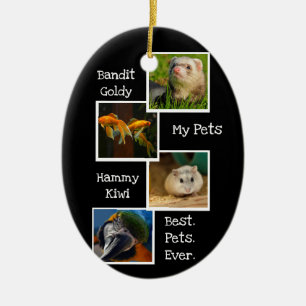 Mina sällskapsdjur Fotokollegium Bästa sällskapsdj Julgransprydnad Keramik