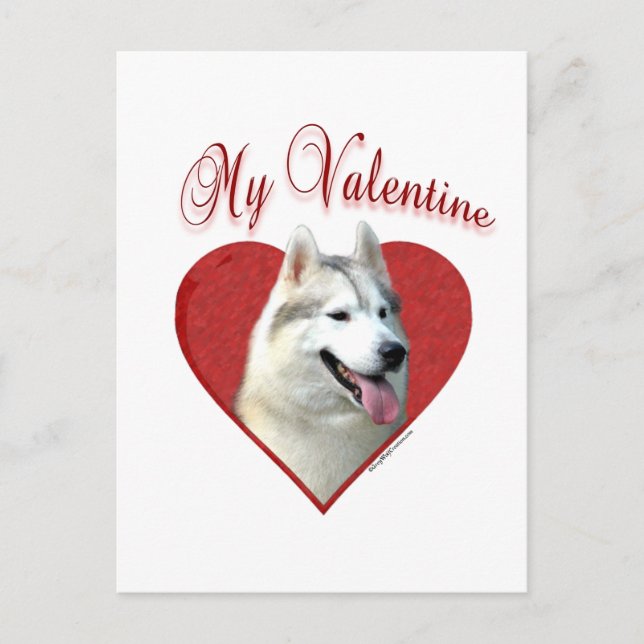 Mina Siberian husky Valentine: Kärlek Huskies Helg Vykort (Framsida)
