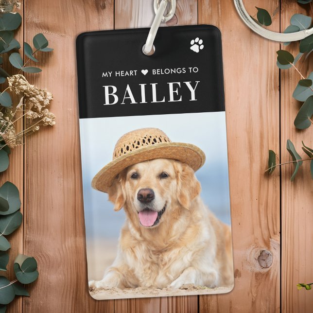 Mina Tillhör i hjärtat på Hund Pet Photo (Skapare uppladdad)