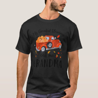 Mina Underbarare välsignelser kallar mig Grandma P T Shirt