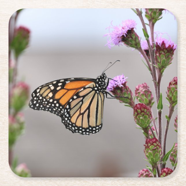 Minarch Trivet Underlägg Papper Kvadrat (Framsidan)