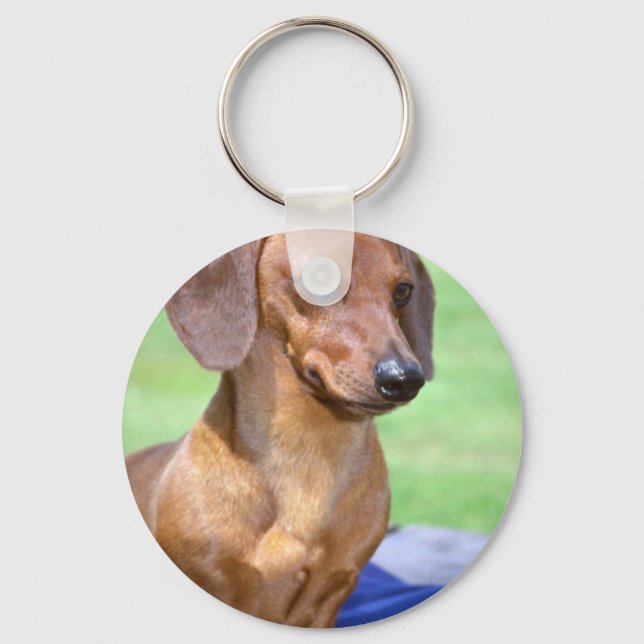 Minature Smooth Dachshund Nyckelring (Framsida)