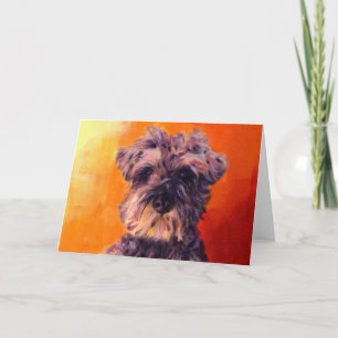 Minatureschnauzer Kort