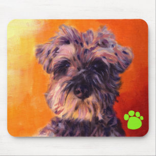 Minatureschnauzer Musmatta