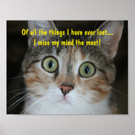 Mind Cat saknas Poster