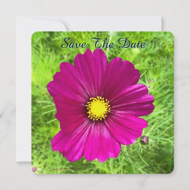 Mind Edition: Cosmos Spara Datum Datumet (Framsida)