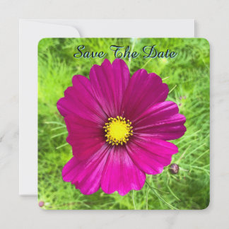 Mind Edition: Cosmos Spara Datum Datumet