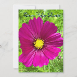 Mind Edition: Cosmos Spara Datum Inbjudningar