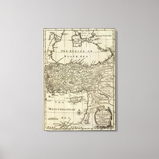 Mindre Asien 2 Canvastryck (Framsida)